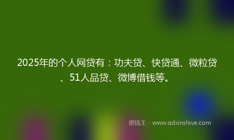2025年的个人网贷有：功夫贷、快贷通、微粒贷、51人品贷、微博借钱等。