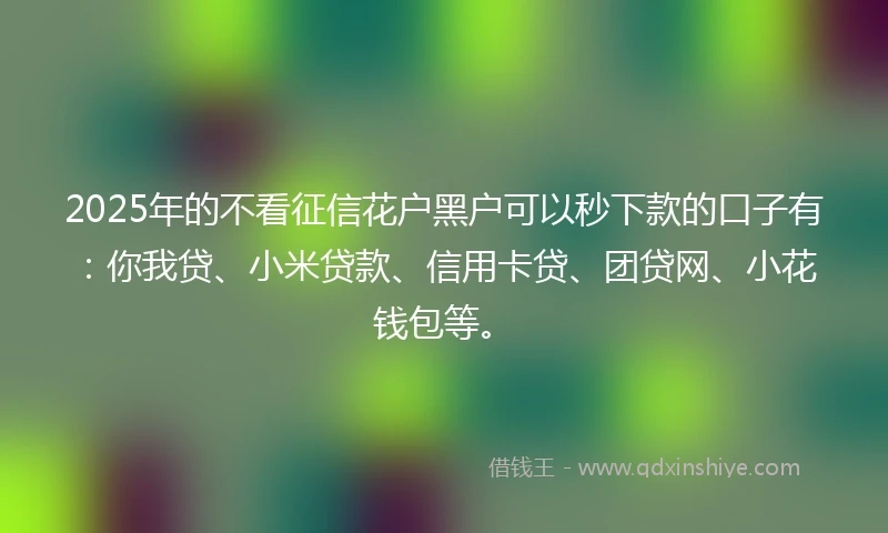 2025年的不看征信花户黑户可以秒下款的口子有：你我贷、小米贷款、信用卡贷、团贷网、小花钱包等。