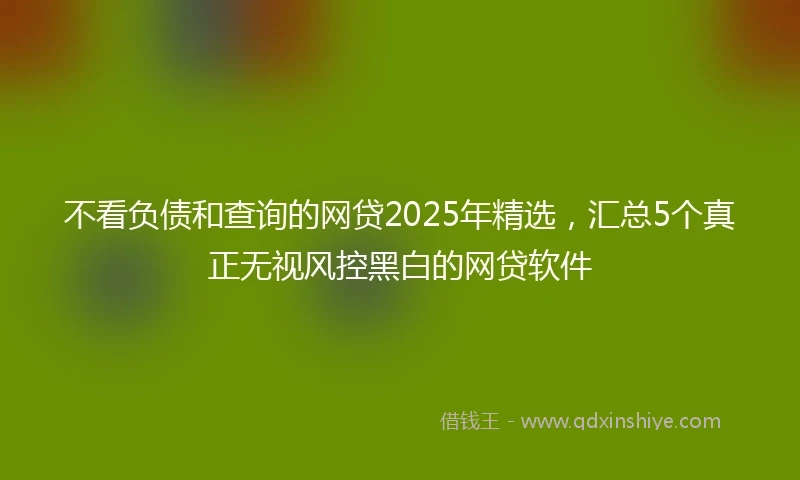 不看负债和查询的网贷2025年精选,汇总5个真正无视风控黑白的网贷软件
