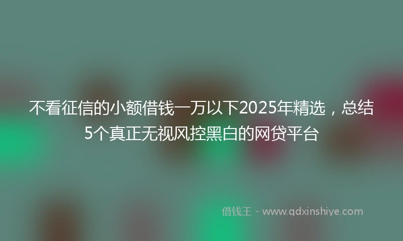 不看征信的小额借钱一万以下2025年精选，总结5个真正无视风控黑白的网贷平台