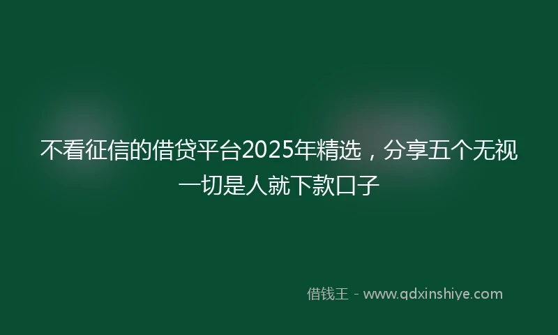 不看征信的借贷平台2025年精选，分享五个无视一切是人就下款口子