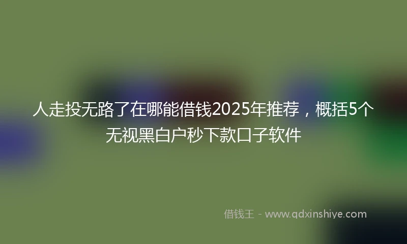 人走投无路了在哪能借钱2025年推荐，概括5个无视黑白户秒下款口子软件