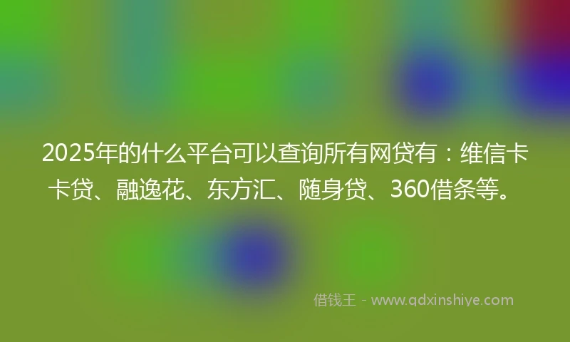 2025年的什么平台可以查询所有网贷有：维信卡卡贷、融逸花、东方汇、随身贷、360借条等。