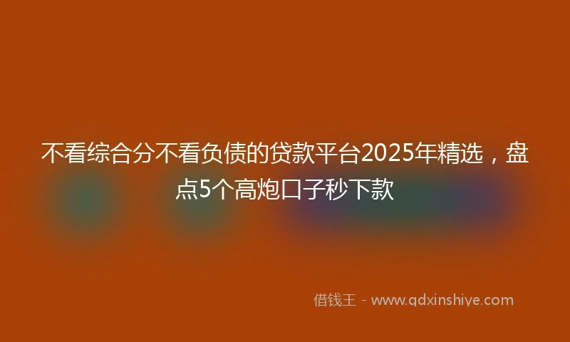 不看综合分不看负债的贷款平台2025年精选，盘点5个高炮口子秒下款