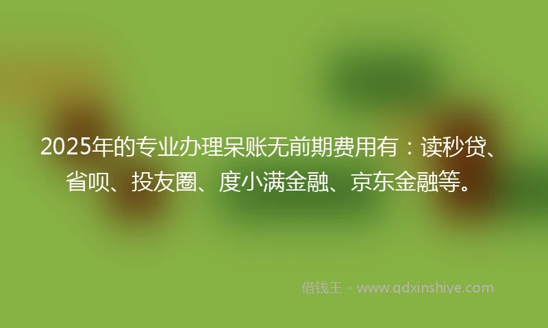 2025年的专业办理呆账无前期费用有：读秒贷、省呗、投友圈、度小满金融、京东金融等。