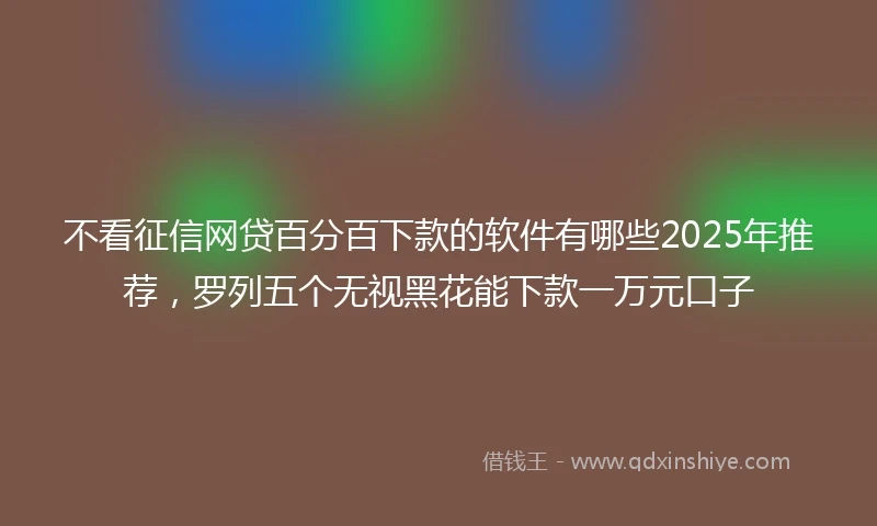 不看征信网贷百分百下款的软件有哪些2025年推荐，罗列五个无视黑花能下款一万元口子