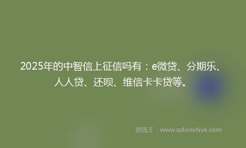 2025年的中智信上征信吗有：e微贷、分期乐、人人贷、还呗、维信卡卡贷等。