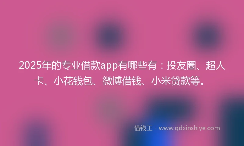 2025年的专业借款app有哪些有：投友圈、超人卡、小花钱包、微博借钱、小米贷款等。