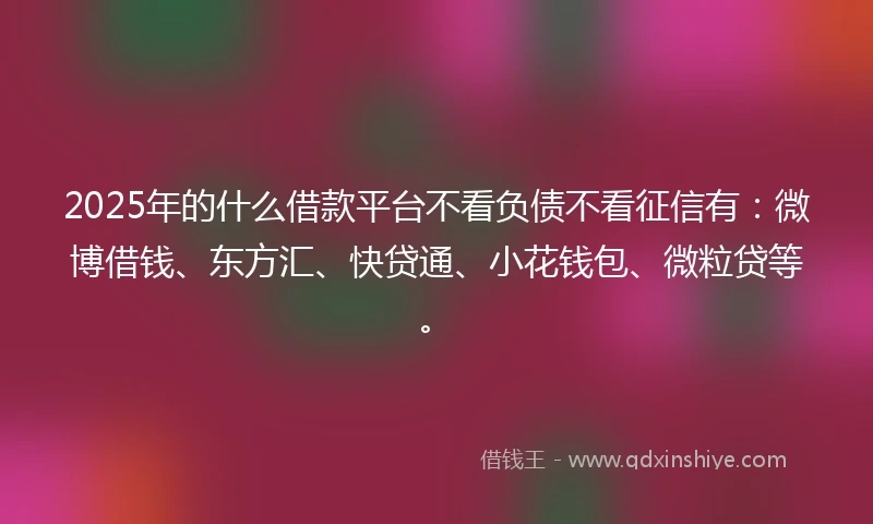 2025年的什么借款平台不看负债不看征信有：微博借钱、东方汇、快贷通、小花钱包、微粒贷等。
