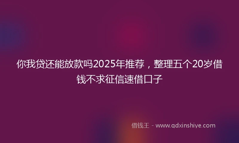 你我贷还能放款吗2025年推荐，整理五个20岁借钱不求征信速借口子
