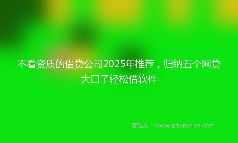 不看资质的借贷公司2025年推荐，归纳五个网贷大口子轻松借软件