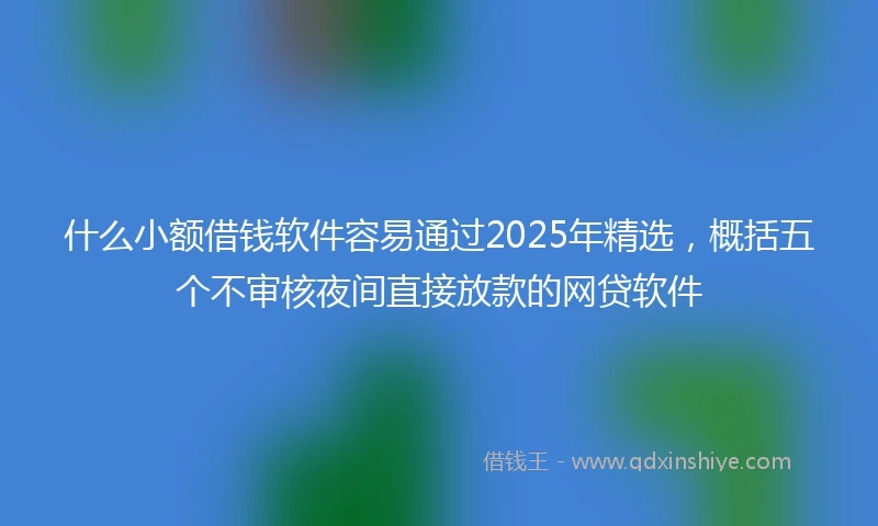 什么小额借钱软件容易通过2025年精选，概括五个不审核夜间直接放款的网贷软件