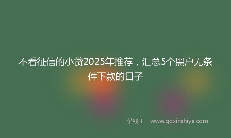不看征信的小贷2025年推荐，汇总5个黑户无条件下款的口子