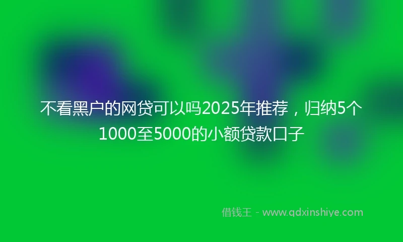 不看黑户的网贷可以吗2025年推荐，归纳5个1000至5000的小额贷款口子