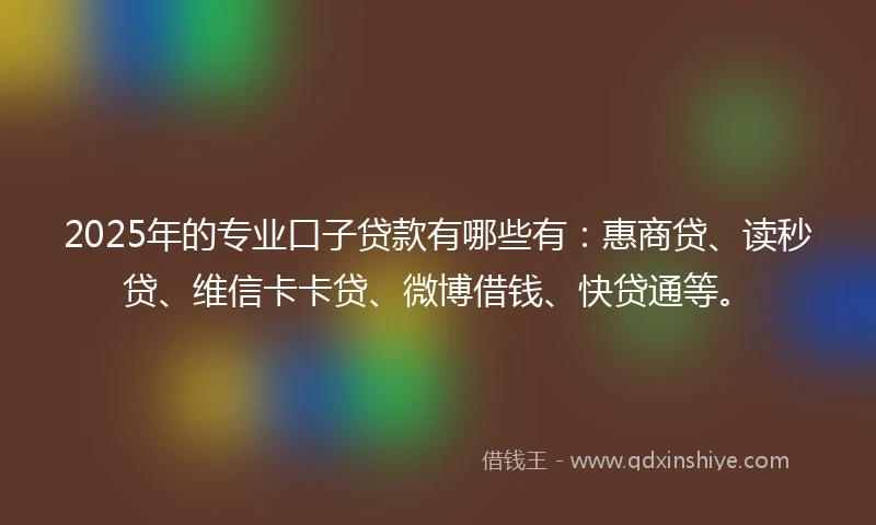 2025年的专业口子贷款有哪些有：惠商贷、读秒贷、维信卡卡贷、微博借钱、快贷通等。
