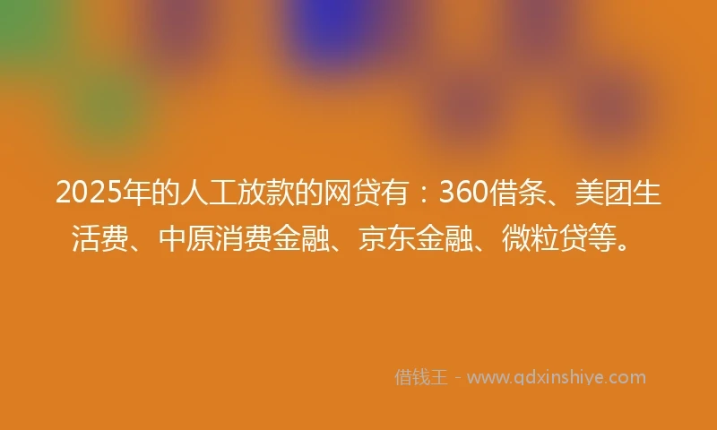 2025年的人工放款的网贷有：360借条、美团生活费、中原消费金融、京东金融、微粒贷等。