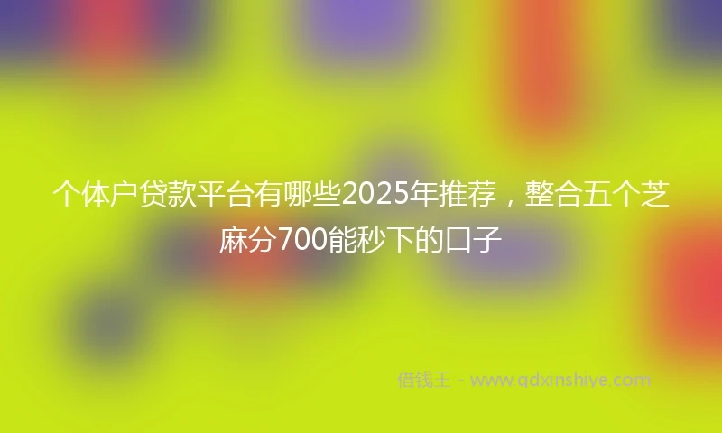 个体户贷款平台有哪些2025年推荐，整合五个芝麻分700能秒下的口子