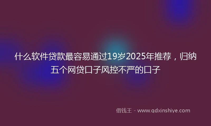什么软件贷款最容易通过19岁2025年推荐，归纳五个网贷口子风控不严的口子