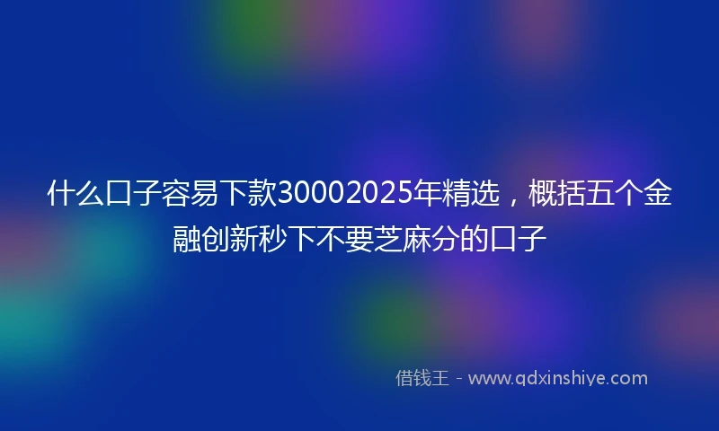 什么口子容易下款30002025年精选，概括五个金融创新秒下不要芝麻分的口子