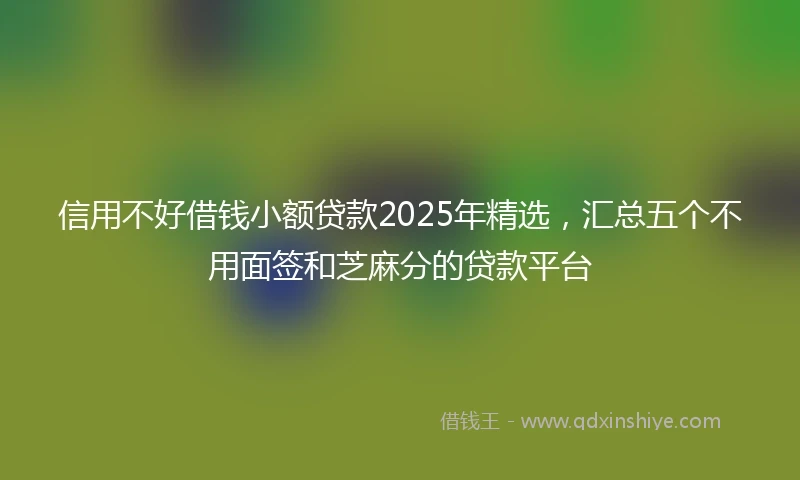 信用不好借钱小额贷款2025年精选，汇总五个不用面签和芝麻分的贷款平台