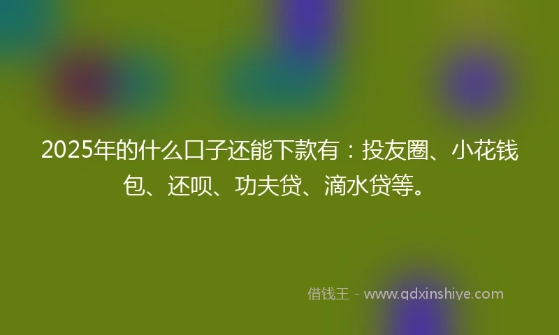 2025年的什么口子还能下款有：投友圈、小花钱包、还呗、功夫贷、滴水贷等。
