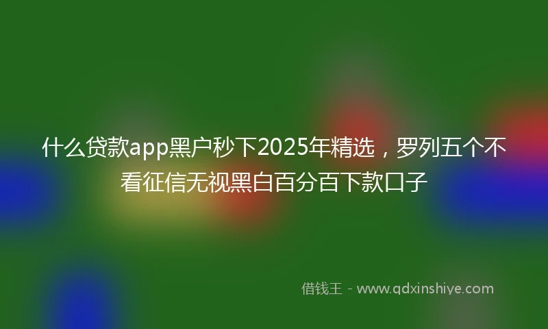 什么贷款app黑户秒下2025年精选，罗列五个不看征信无视黑白百分百下款口子