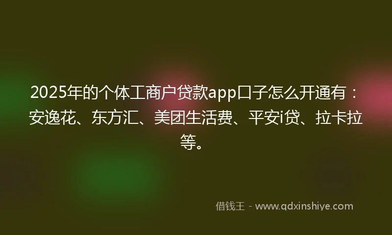 2025年的个体工商户贷款app口子怎么开通有：安逸花、东方汇、美团生活费、平安i贷、拉卡拉等。