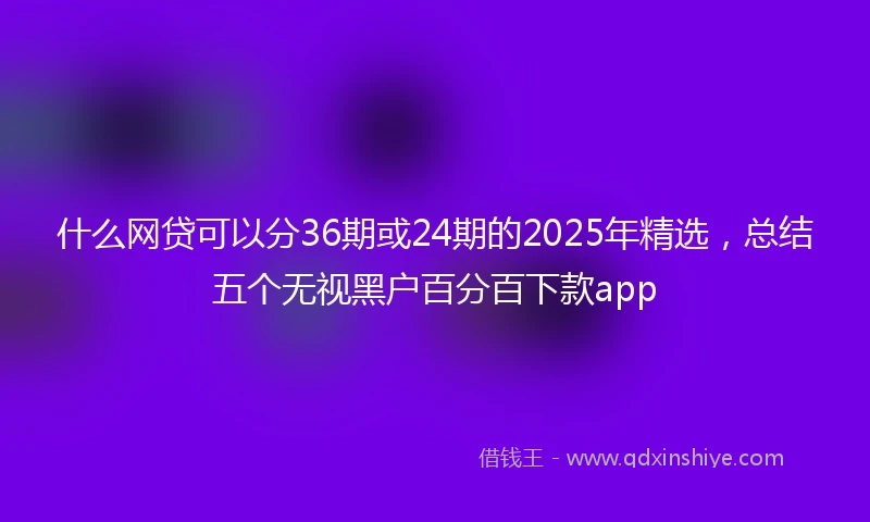 什么网贷可以分36期或24期的2025年精选，总结五个无视黑户百分百下款app
