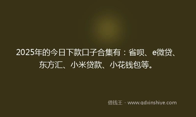 2025年的今日下款口子合集有：省呗、e微贷、东方汇、小米贷款、小花钱包等。
