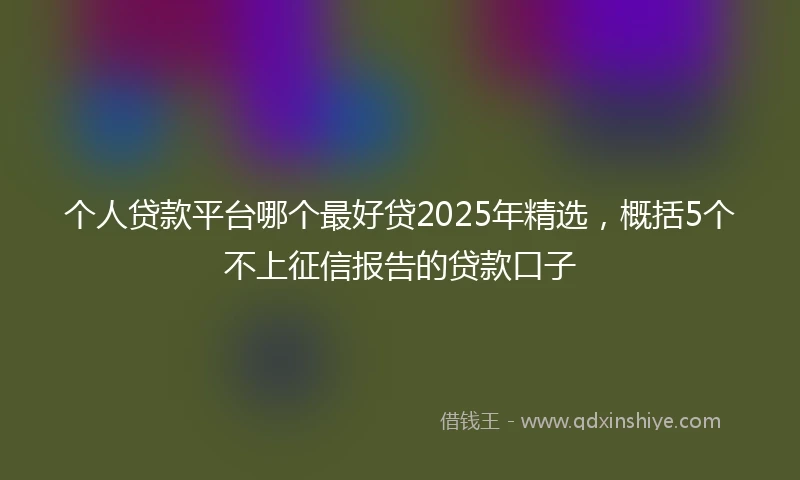 个人贷款平台哪个最好贷2025年精选，概括5个不上征信报告的贷款口子