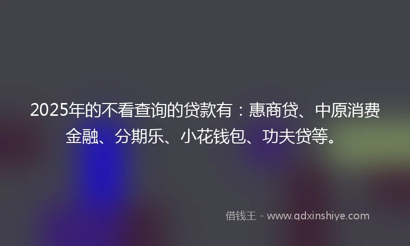 2025年的不看查询的贷款有：惠商贷、中原消费金融、分期乐、小花钱包、功夫贷等。