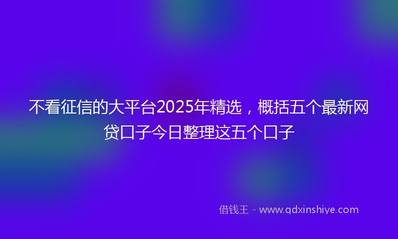 不看征信的大平台2025年精选，概括五个最新网贷口子今日整理这五个口子