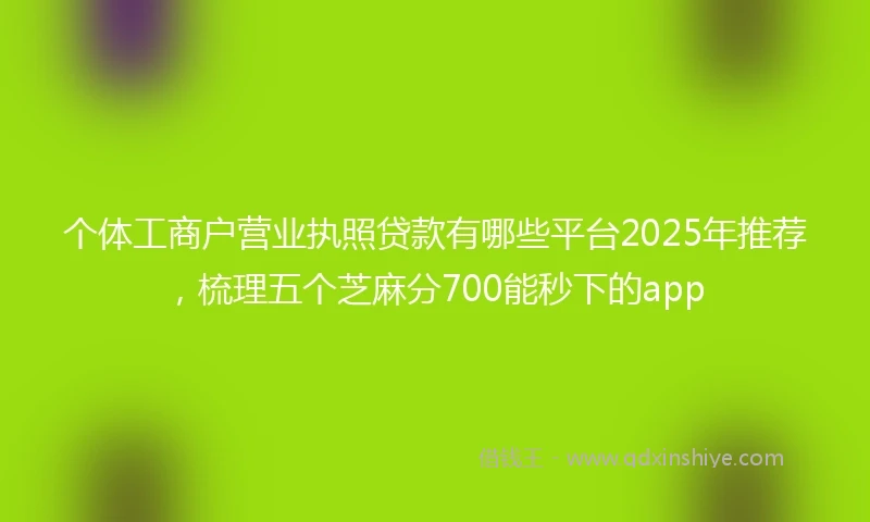 个体工商户营业执照贷款有哪些平台2025年推荐，梳理五个芝麻分700能秒下的app