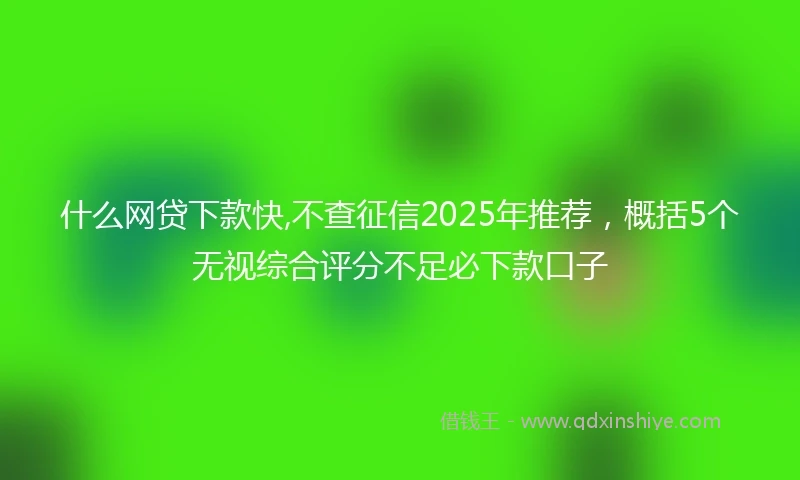 什么网贷下款快,不查征信2025年推荐，概括5个无视综合评分不足必下款口子