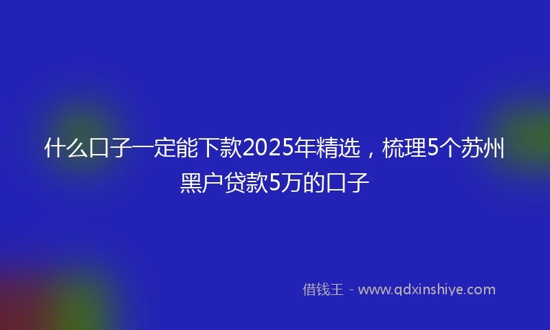什么口子一定能下款2025年精选，梳理5个苏州黑户贷款5万的口子