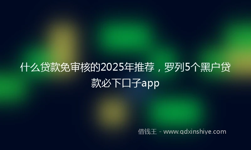 什么贷款免审核的2025年推荐，罗列5个黑户贷款必下口子app