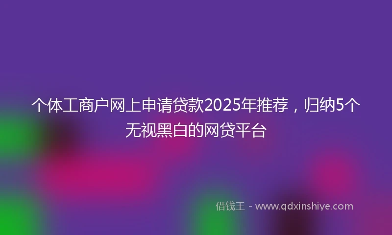 个体工商户网上申请贷款2025年推荐，归纳5个无视黑白的网贷平台