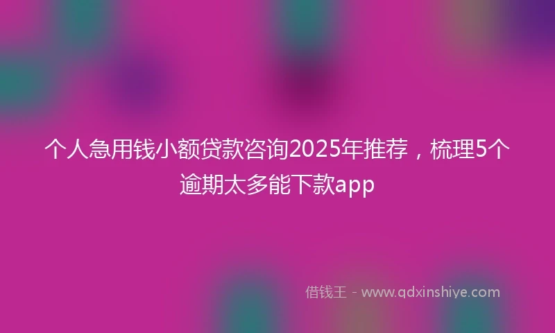 个人急用钱小额贷款咨询2025年推荐，梳理5个逾期太多能下款app