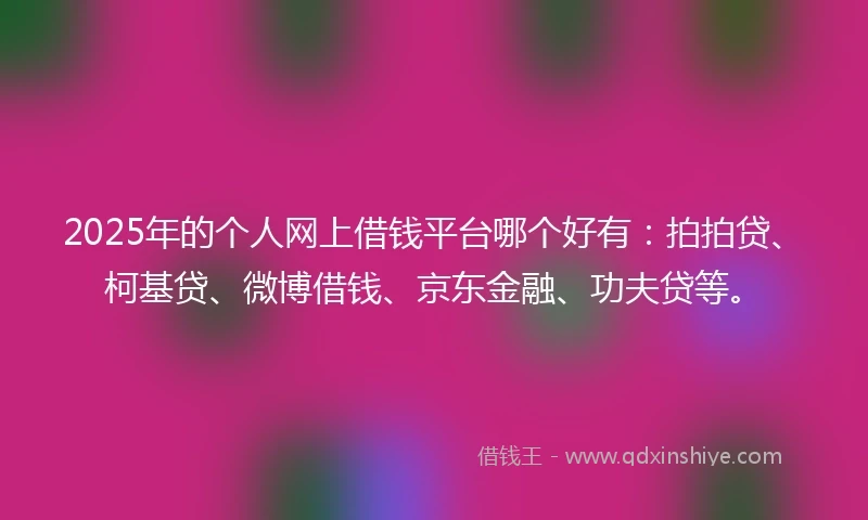 2025年的个人网上借钱平台哪个好有：拍拍贷、柯基贷、微博借钱、京东金融、功夫贷等。