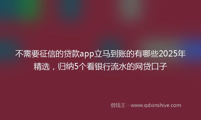 不需要征信的贷款app立马到账的有哪些2025年精选，归纳5个看银行流水的网贷口子