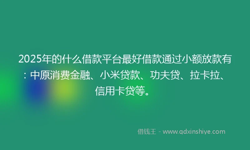 2025年的什么借款平台最好借款通过小额放款有：中原消费金融、小米贷款、功夫贷、拉卡拉、信用卡贷等。