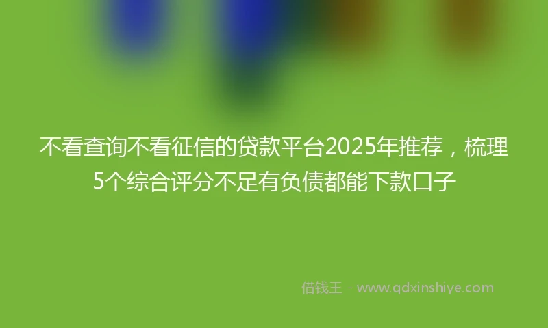 不看查询不看征信的贷款平台2025年推荐，梳理5个综合评分不足有负债都能下款口子