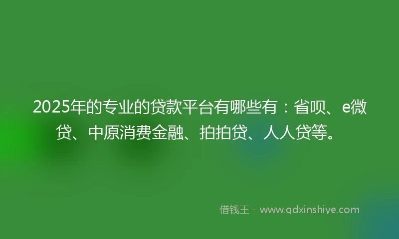 2025年的专业的贷款平台有哪些有：省呗、e微贷、中原消费金融、拍拍贷、人人贷等。