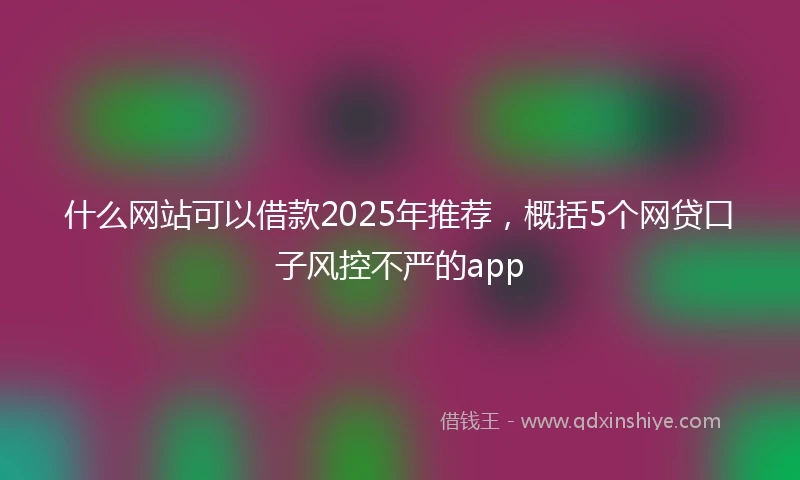 什么网站可以借款2025年推荐，概括5个网贷口子风控不严的app
