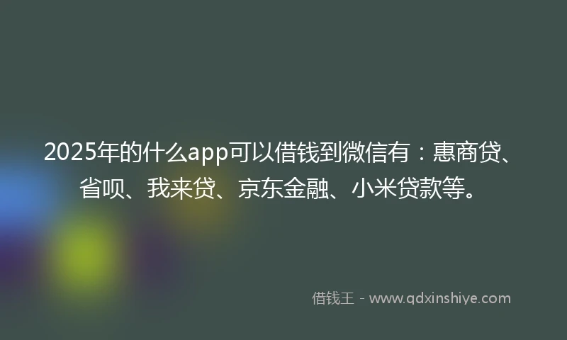 2025年的什么app可以借钱到微信有：惠商贷、省呗、我来贷、京东金融、小米贷款等。