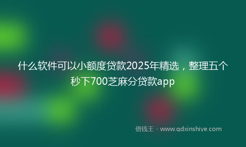 什么软件可以小额度贷款2025年精选，整理五个秒下700芝麻分贷款app
