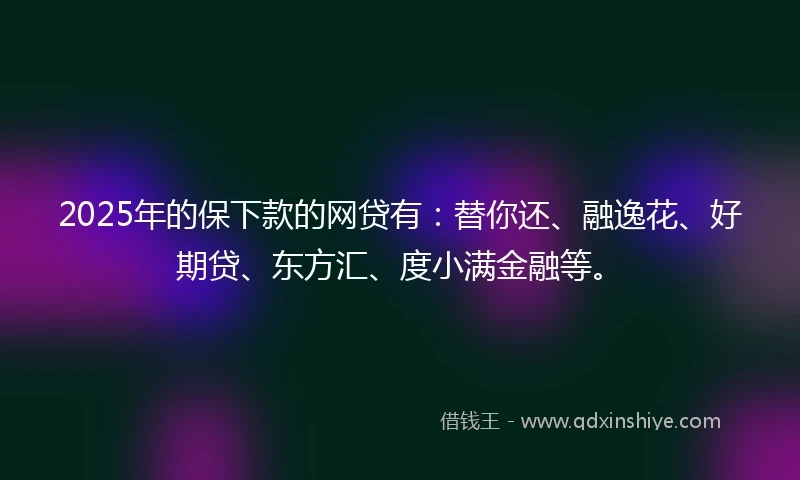 2025年的保下款的网贷有：替你还、融逸花、好期贷、东方汇、度小满金融等。