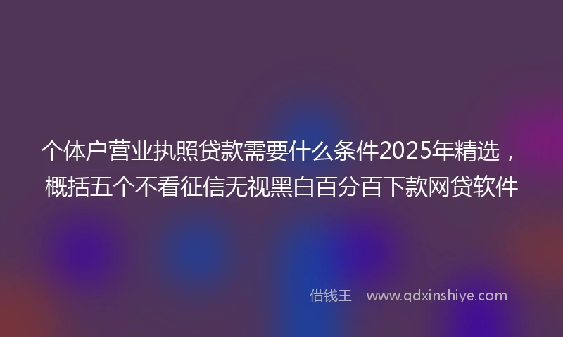 个体户营业执照贷款需要什么条件2025年精选，概括五个不看征信无视黑白百分百下款网贷软件