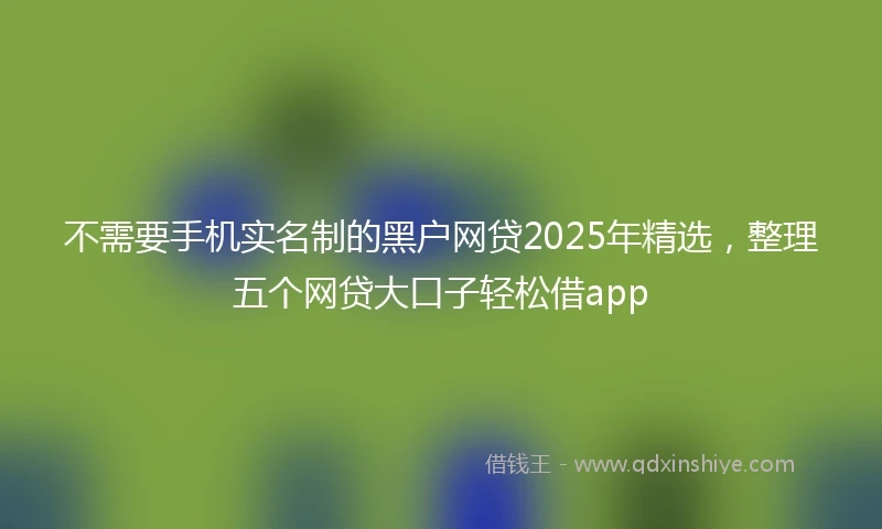 不需要手机实名制的黑户网贷2025年精选，整理五个网贷大口子轻松借app