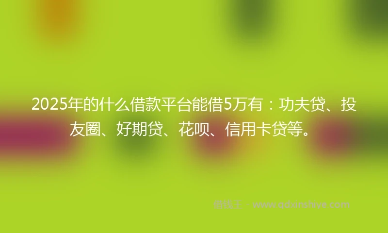 2025年的什么借款平台能借5万有：功夫贷、投友圈、好期贷、花呗、信用卡贷等。